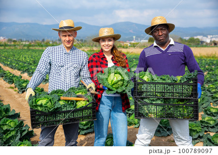 Smiling professional farmers men and woman posing on a plantation 100789097