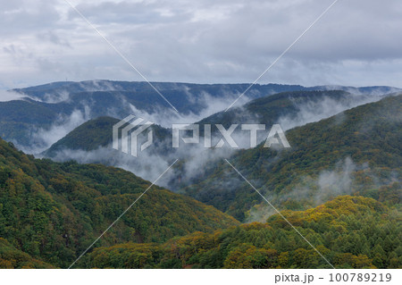 早秋の城ヶ倉大橋から観る城ヶ倉渓谷(青森県) 早秋の城ヶ倉大橋から観る城ヶ倉渓谷(青森県) 100789219