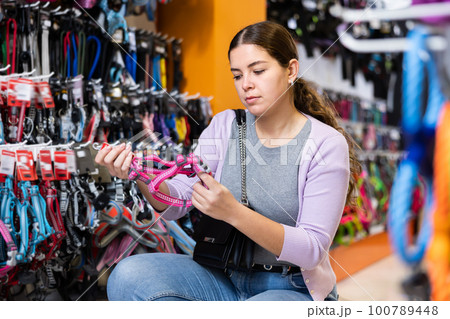 Young woman choosing collar her dog at pet store 100789448