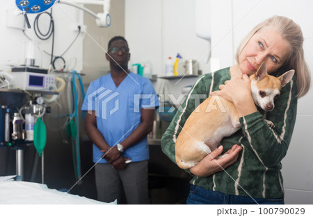 Woman with dog waiting for professional advice from veterinarian Woman with dog waiting for professional advice from veterinarian 100790029