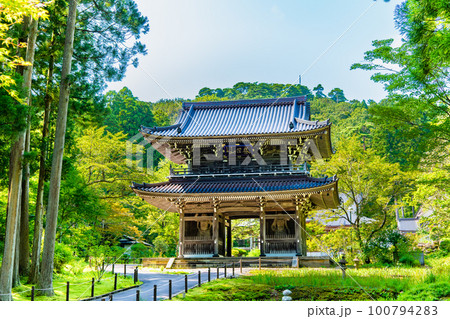 新潟 林泉寺　山門 100794283