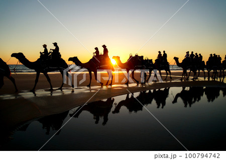 ブルーム名物のキャメルライドと夕日の絶景 ブルーム名物のキャメルライドと夕日の絶景 100794742
