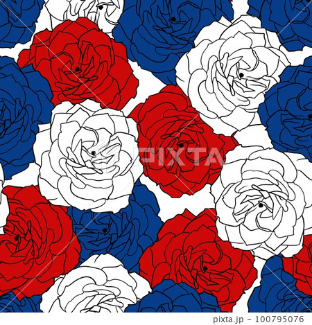 Hand drawn seamless pattern 4th of july patriotic Independence day floral rose flower print. Red blue white fourth july american us holiday design, usa america celebration. 100795076