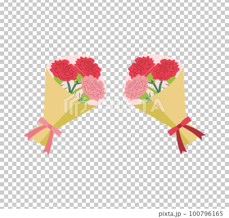 シンプルなカーネーションの花束イラスト 100796165