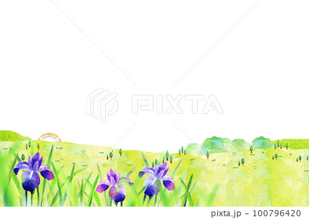 あやめが咲く丘　水彩イラスト　背景素材 100796420