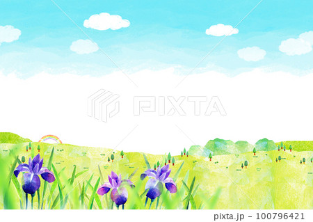 あやめが咲く丘　水彩イラスト　背景素材 100796421