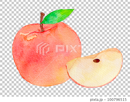 水彩で描いた赤いりんご　水彩イラスト 100796515