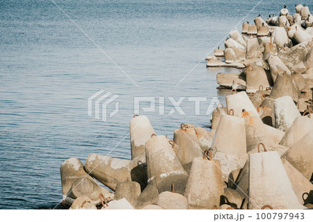Coast breakwaters protecting from large waves with sea water background. The seashore is reinforced with concrete tetrapods. 100797943