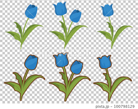 Tulip (blue) illustration set Tulip (blue) illustration set 100798129