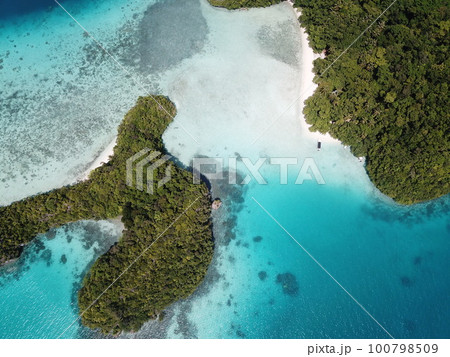 Pristine blue ocean, rock islands in Palau 100798509