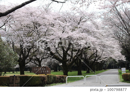 清原工業団地3号緑地 清原工業団地3号緑地 100798877