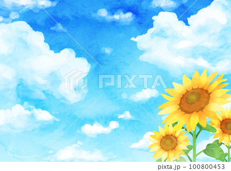 水彩のひまわりと青空のベクターイラスト背景 水彩のひまわりと青空のベクターイラスト背景 100800453