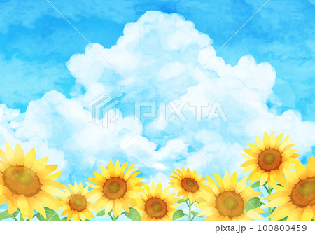 水彩のひまわりと青空のベクターイラスト背景 水彩のひまわりと青空のベクターイラスト背景 100800459