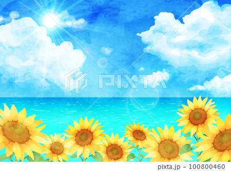 水彩のひまわりと海のベクターイラスト背景 100800460