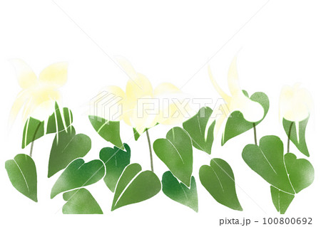 碇草（イカリソウ）の花カード2 100800692