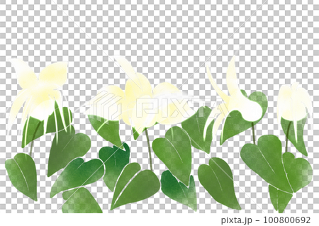 碇草（イカリソウ）の花カード2 100800692