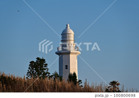 房総半島　野島崎灯台 100800698
