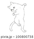 Line drawings of floating cats for coloring, cartoons, illustrations. 100800738