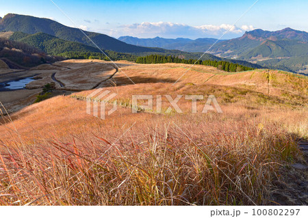 【奈良】曽爾高原のススキ 100802297