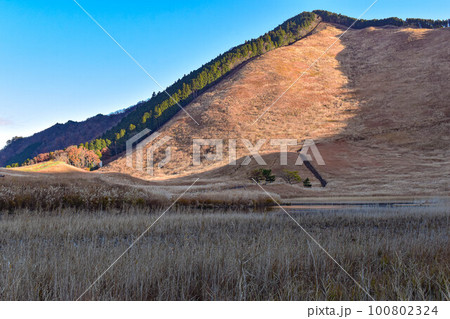【奈良】曽爾高原のススキ 100802324