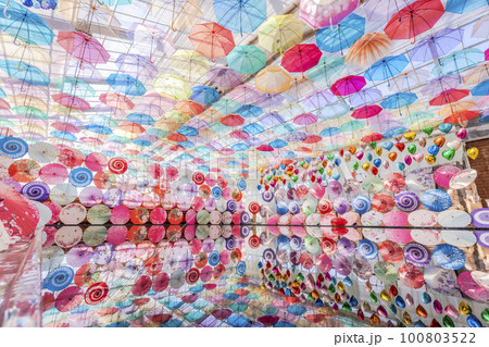 ハーブ園のカラフルな「アンブレラスカイ」　福島県猪苗代町 100803522