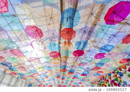 ハーブ園のカラフルな「アンブレラスカイ」　福島県猪苗代町 100803527