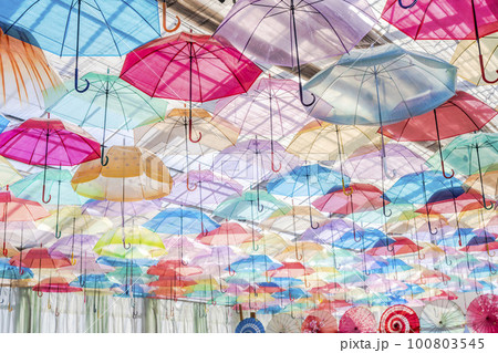 ハーブ園のカラフルな「アンブレラスカイ」　福島県猪苗代町 100803545