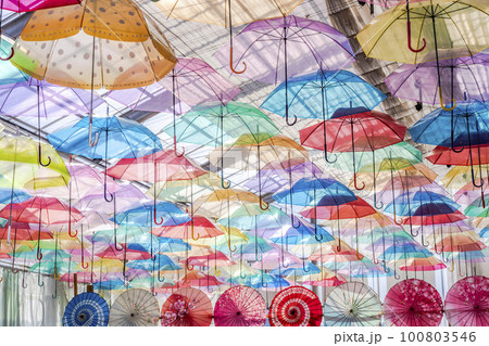 ハーブ園のカラフルな「アンブレラスカイ」　福島県猪苗代町 100803546