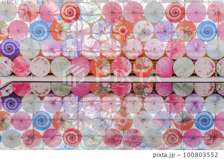 ハーブ園のカラフルな「アンブレラスカイ」　福島県猪苗代町 100803552