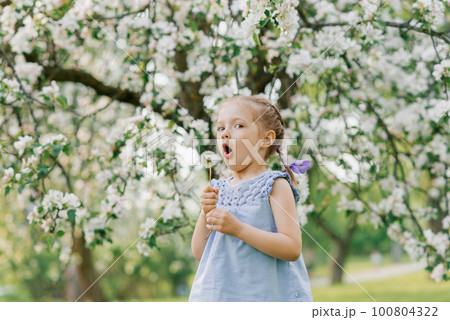 Child girl blows on a dandelion in a spring blooming garden 100804322