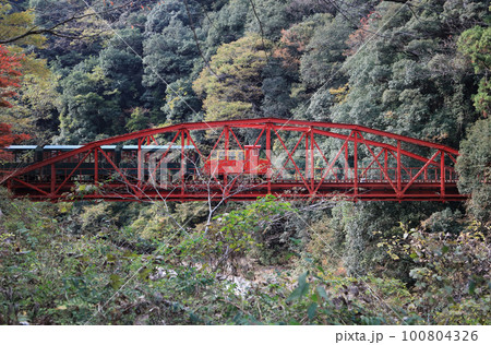 秋のマイントピア別子、打除鉄橋を渡る鉱山観光列車 100804326