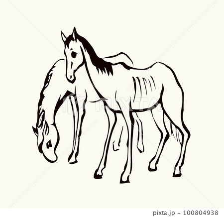 Starving skinny horse. Vector drawing Starving skinny horse. Vector drawing 100804938