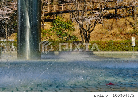 シーソー噴水のある公園 東京都町田市 芹が谷公園 シーソー噴水のある公園 東京都町田市 芹が谷公園 100804975