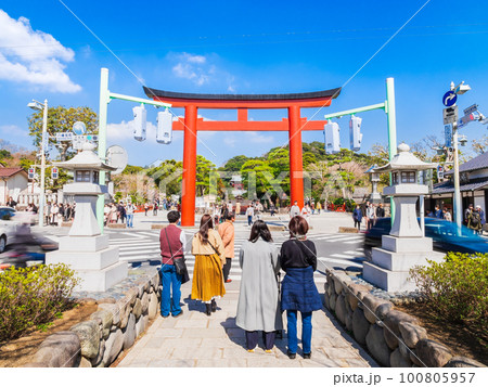 鎌倉　鶴岡八幡宮　※一部ソフトフォーカス 100805957