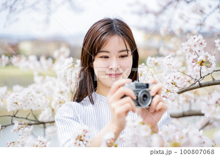 満開の桜の写真を撮る若い女性 満開の桜の写真を撮る若い女性 100807068