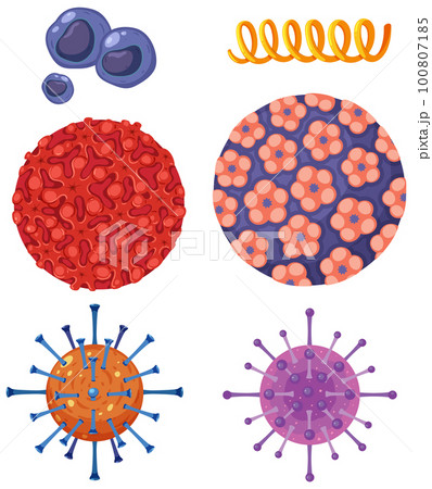 Set of virus and bacteria icons Set of virus and bacteria icons 100807185