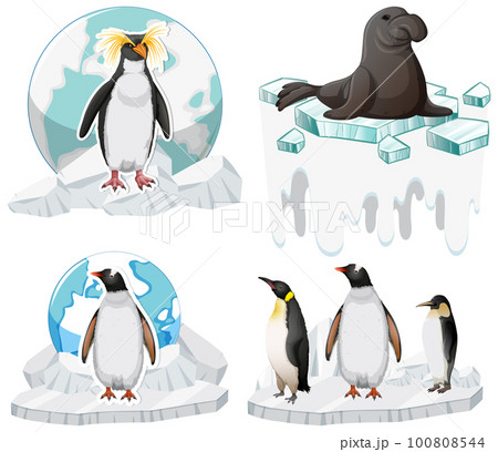 Cute Penguin Icons Set 100808544