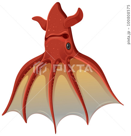 Deep sea creatures vampire squid Deep sea creatures vampire squid 100808575