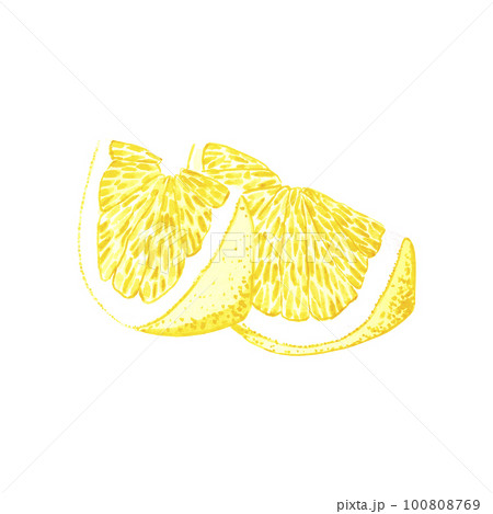 Hand drawn watercolor slice of lemon isolated on white background. Scrapbook, post card, banner, lable. 100808769