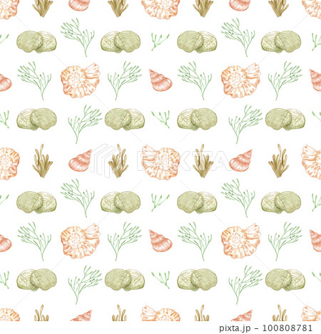 Hand drawn watercolor seashells and seaweed seamless pattern isolated on white background. Scrapbook, post card, textile, fabric. 100808781