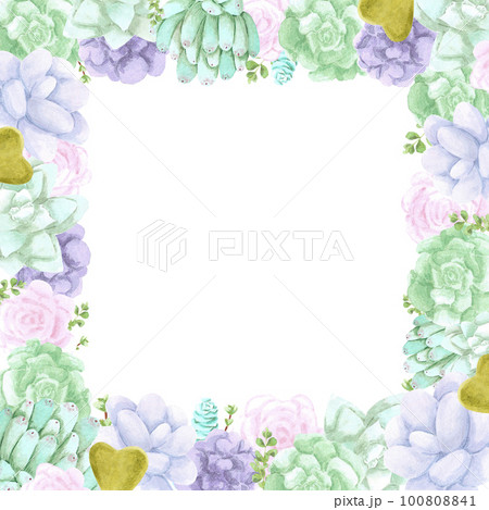 Succulent plants frame boarder on white Background. Hand drawn Watercolor set. Botanical delicate illustration. Scrapbook design elements. Typography poster, card, label, banner design. 100808841