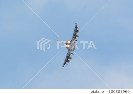 イギリス空軍タイフーンFGR4旋回 100808960