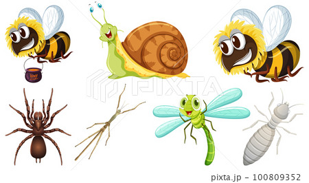 Collection of different insects vector 100809352