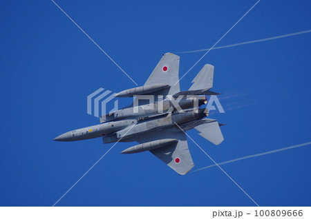 航空祭で機動飛行を行う航空自衛隊のF-15 100809666