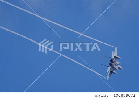 航空祭で機動飛行を行う航空自衛隊のF-15 100809672
