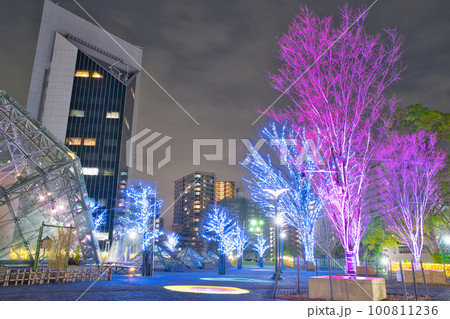 川口のイルミネーション 川口のイルミネーション 100811236