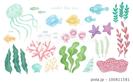 手書き風海の生き物 手書き風海の生き物 100811581