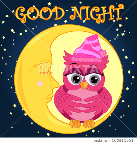 Good night. Card with cute sleeping owl. illustration. 100811651