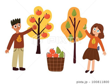 Cute boy and girl picking fruits in the basket. Autumn harvest kids at the garden Cute boy and girl picking fruits in the basket. Autumn harvest kids at the garden 100811800