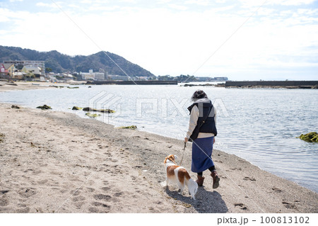 春の海岸沿いで犬の散歩をする女性 100813102
